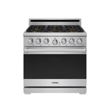 X Series 36-inch Professional Freestanding Gas Range - XRG36E